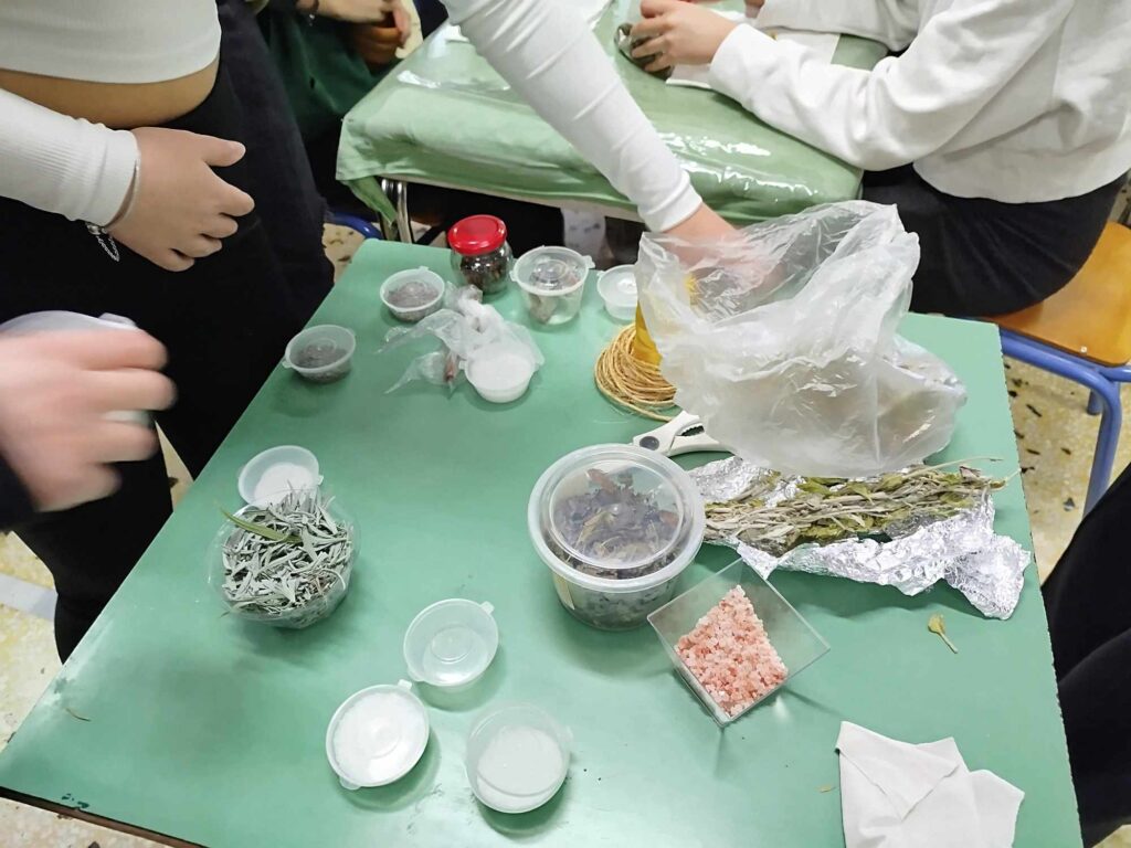 490999731 1614208992631572 3692445573566987095 n