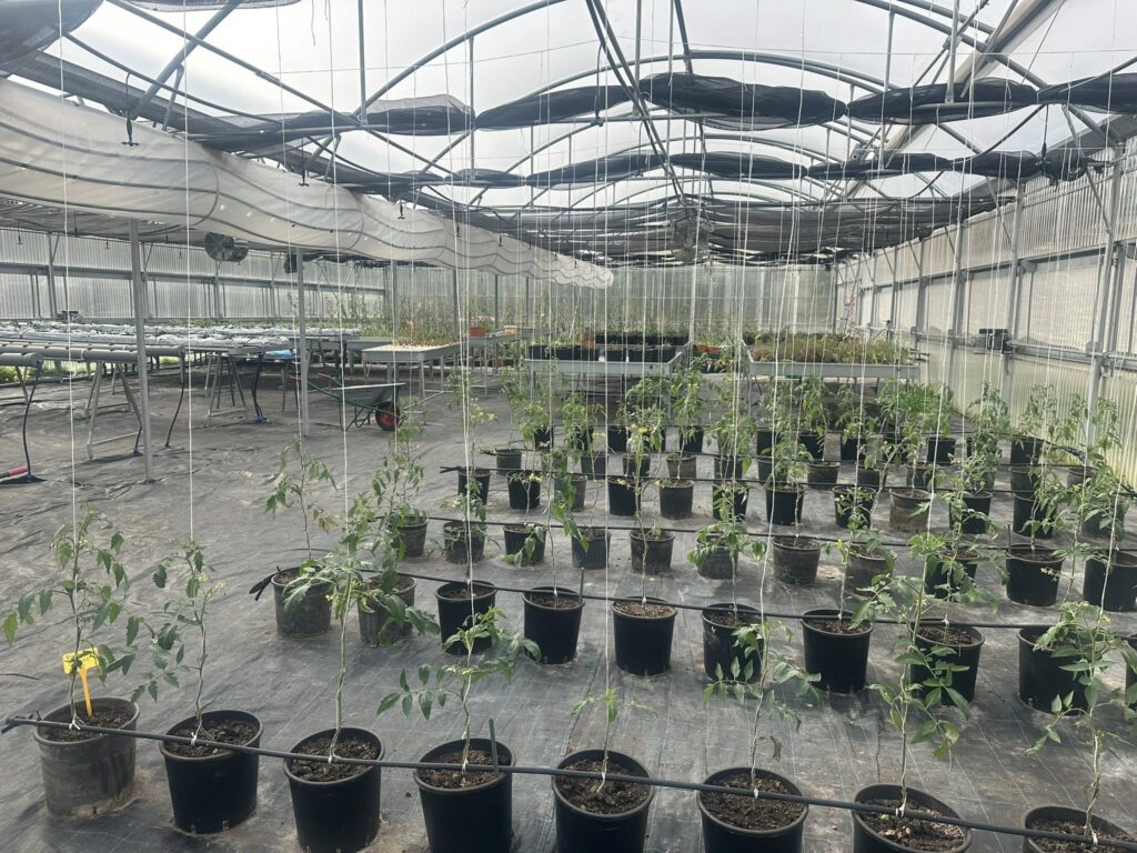 647394440 122250062720083891 2891631665891181605 n